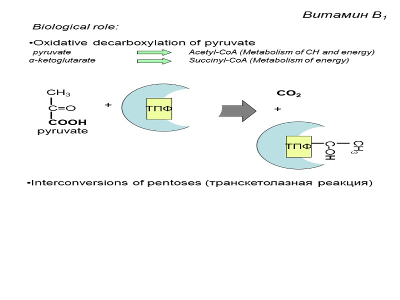 Витамин B1 Biological role: Oxidative decarboxylation of pyruvate   pyruvate   